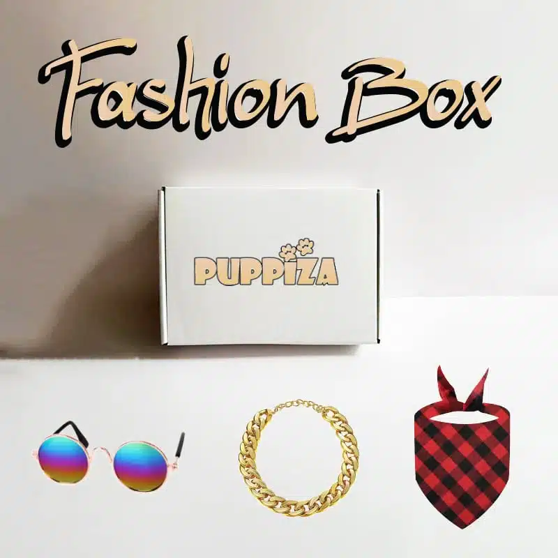 Fashion Box