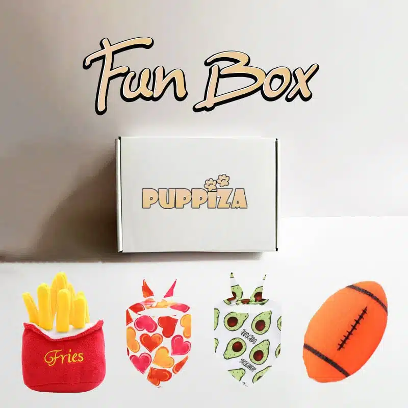 Fun Box
