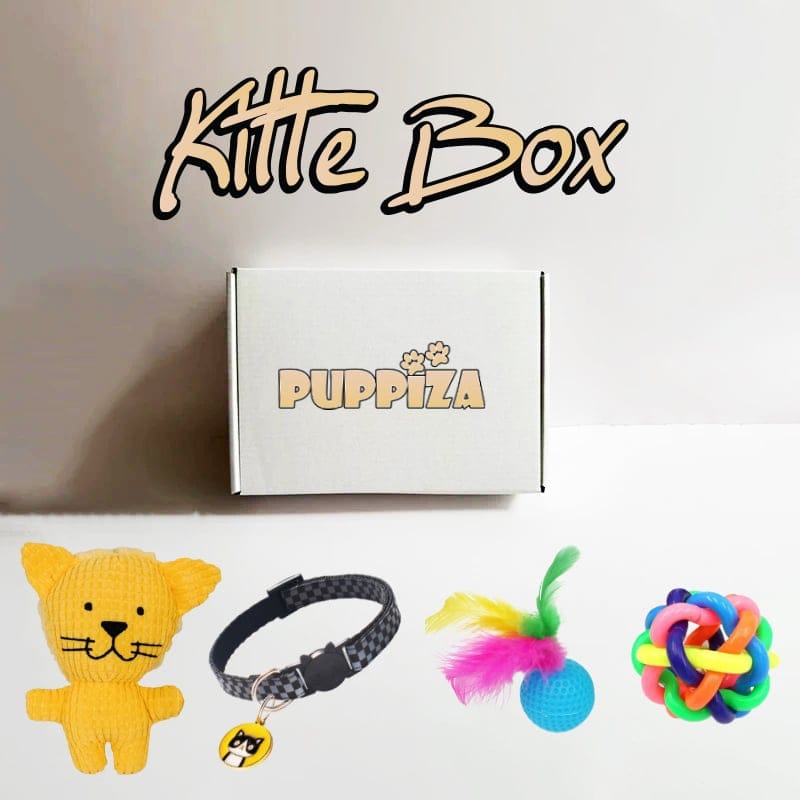 Kitte Box