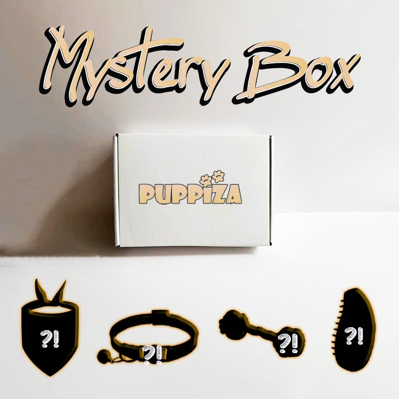 Mystery Box