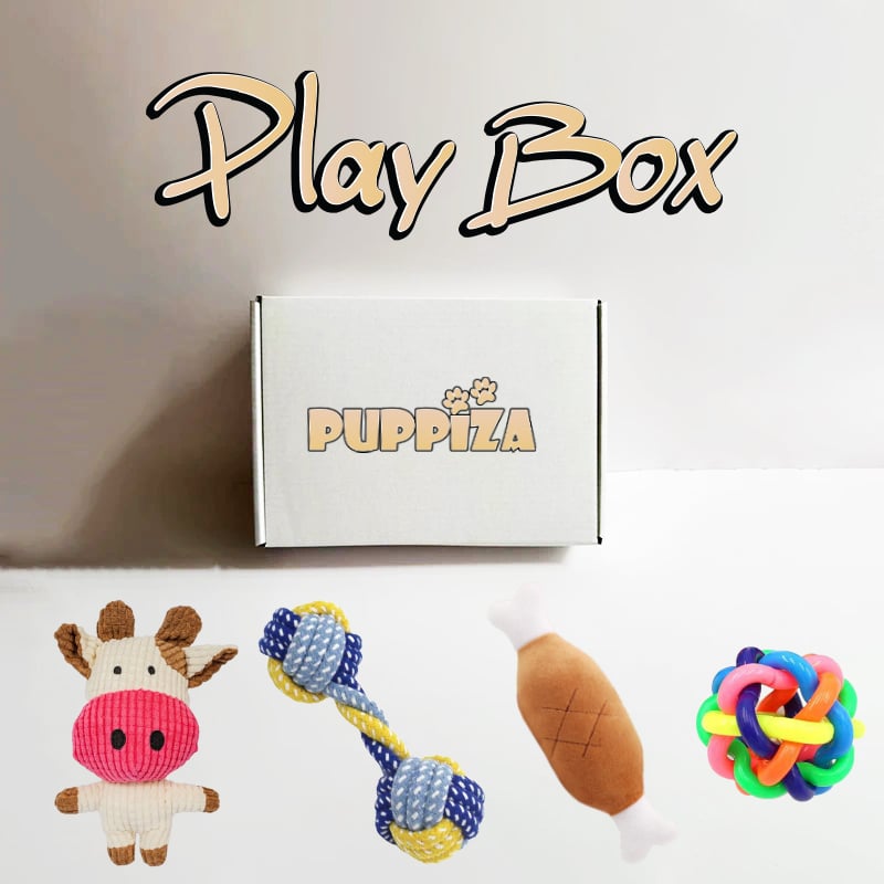 Play Box