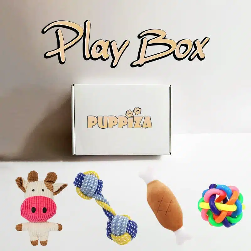 Play Box