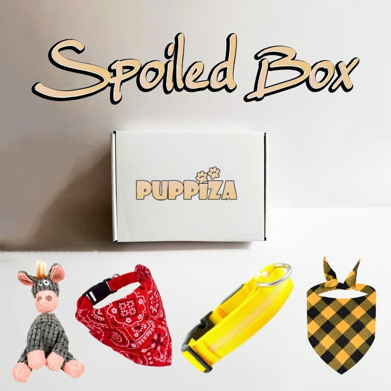Spoiled Box