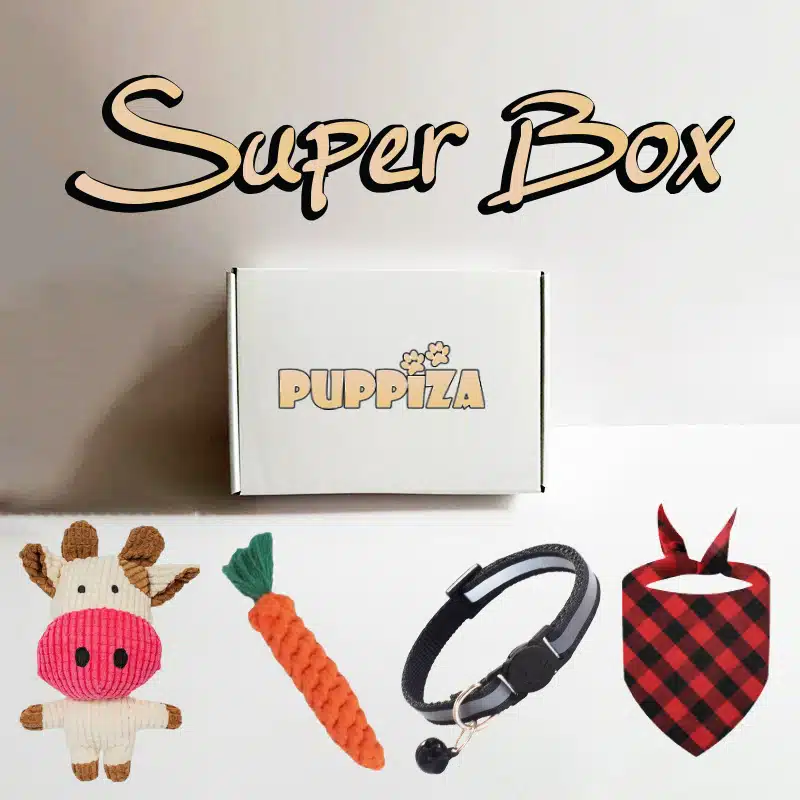 Super Box